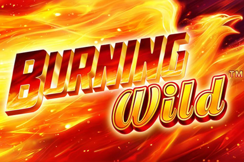 Burning Wild