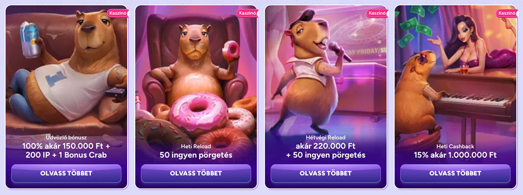 Spinbara Casino, üdvözlő bónusz, heti bónuszok, cashback, ingyen pörgetés, állatok, karaoke, zongora, fánk