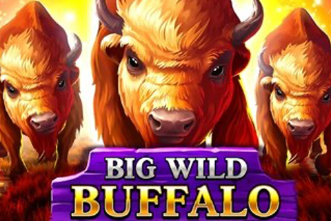 Big Wild Buffalo